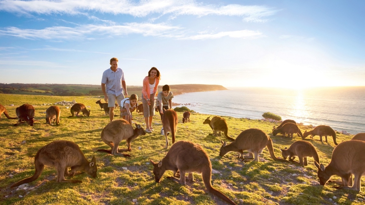 Kangaroo Island