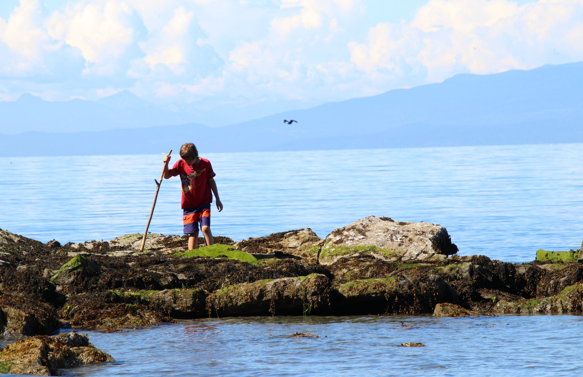 Gabriola Beaches, Gabriola Island Beaches, Gabriola Island, Whalebone beach, Whale Bone Beach,