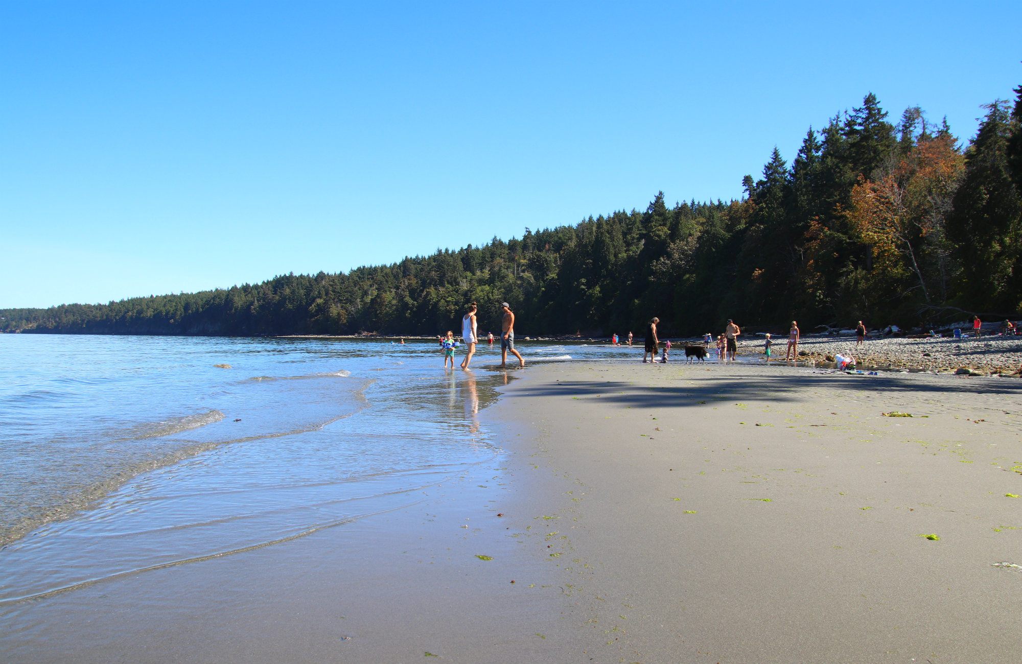 Gabriola Beaches, Gabriola Island Beaches, Gabriola Island, Whalebone beach, Whale Bone Beach,