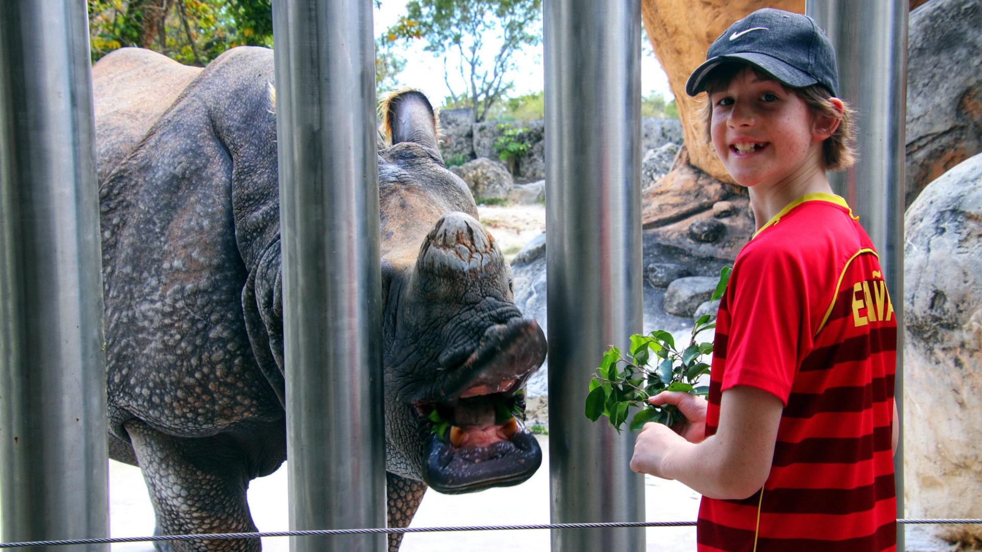 Don't Just Look At The Animals! Feed Them At Zoo Miami! - Traveling Islanders Don't Just Look At The Animals! Feed Them At Zoo Miami! - Traveling Islanders