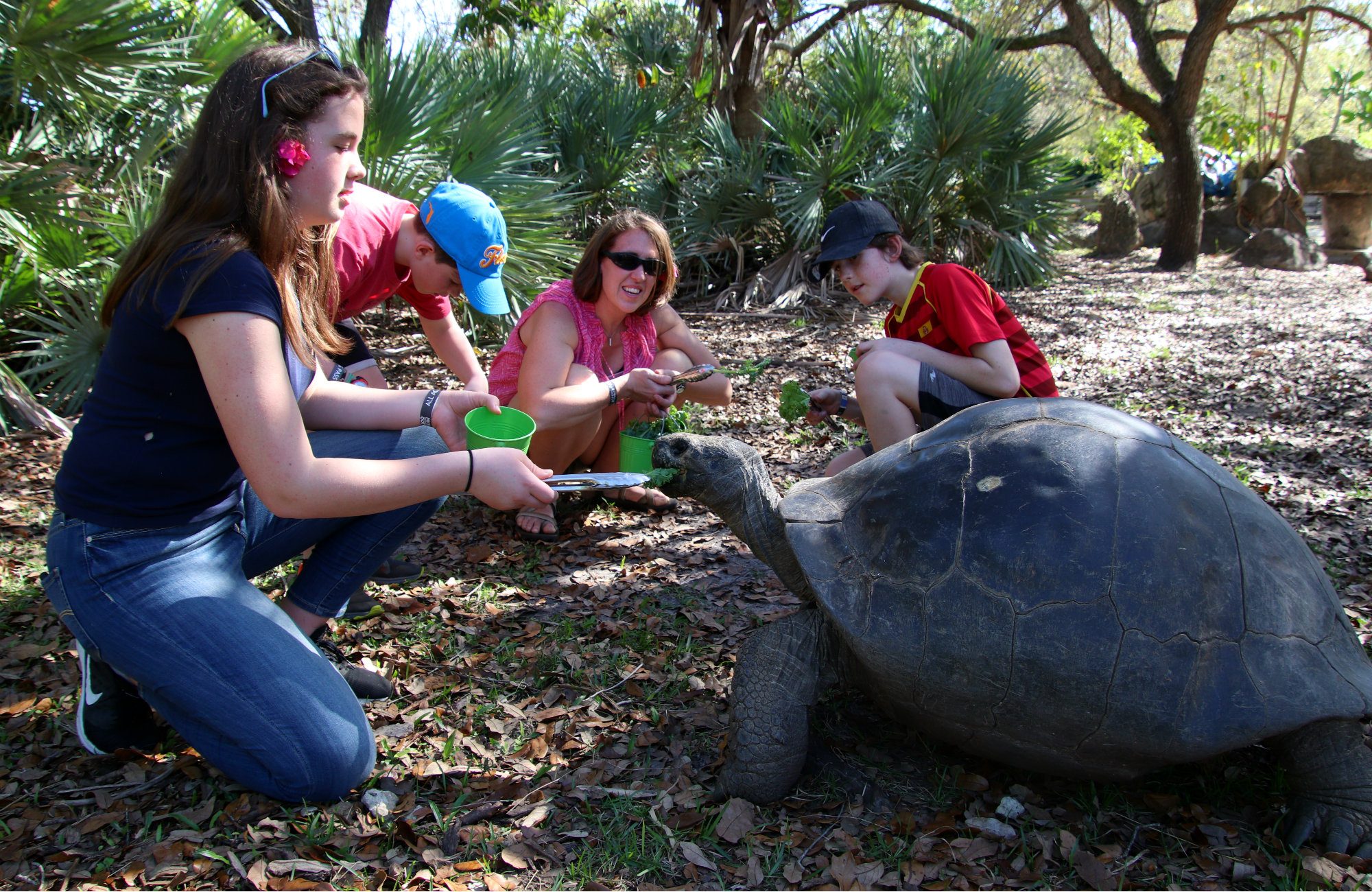 Zoo Miami