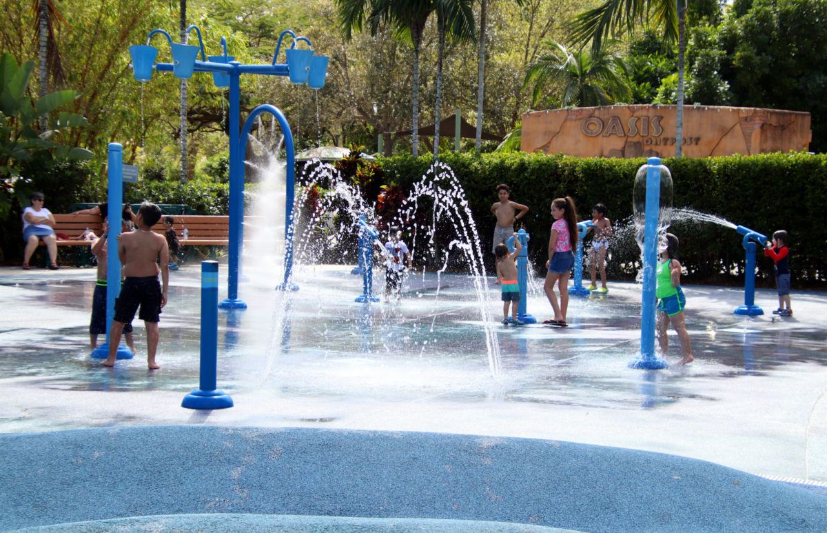 Don't Just Look At The Animals! Feed Them At Zoo Miami! Traveling