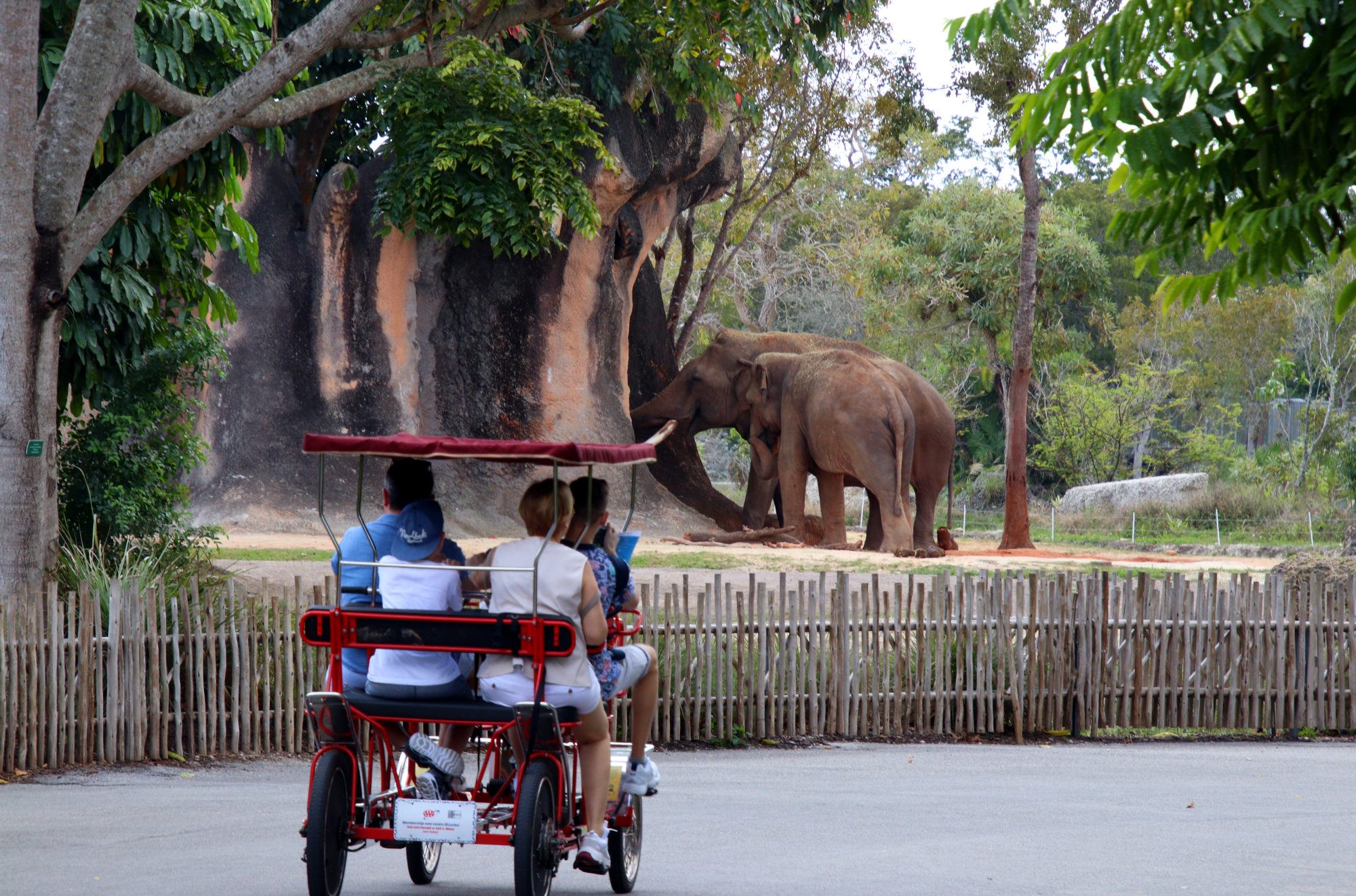 Zoo Miami