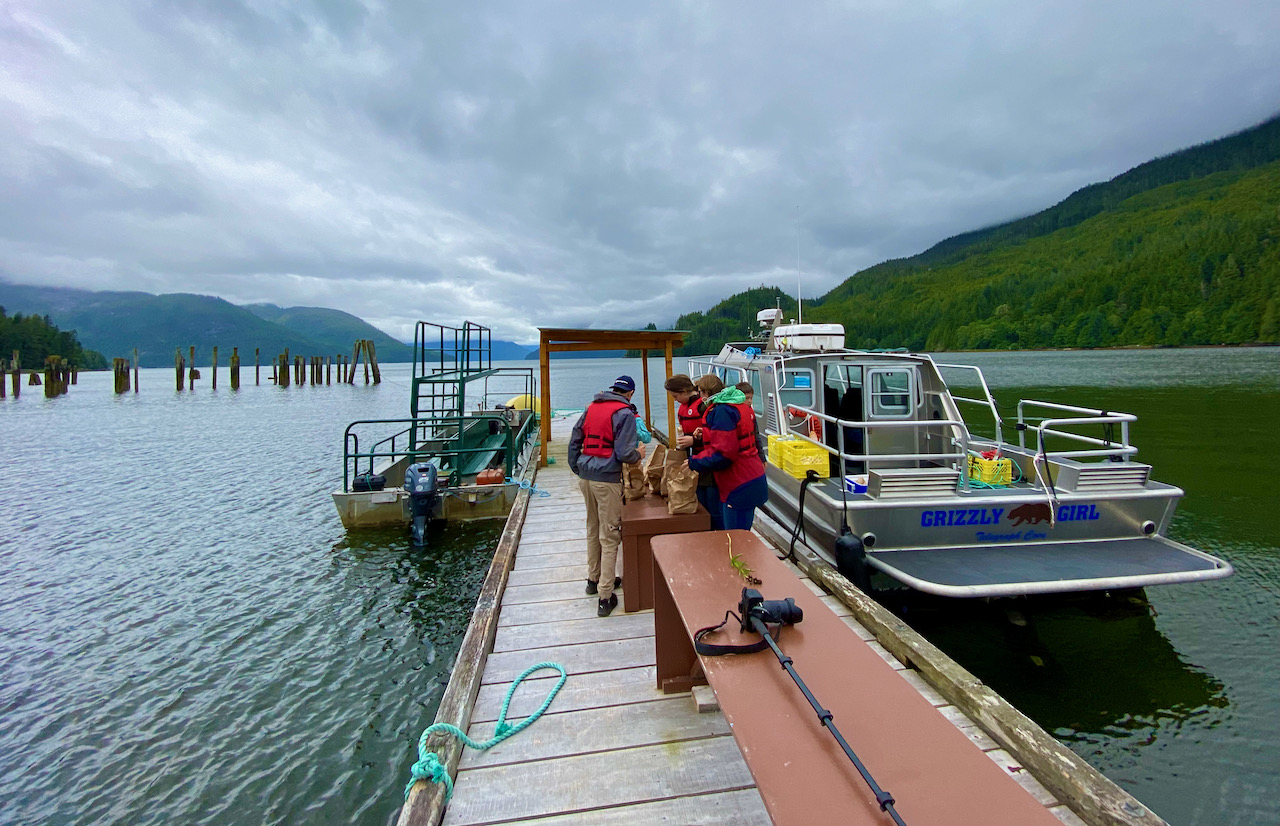 Great Bear Rainforest Tide Rip Grizzly Adventures