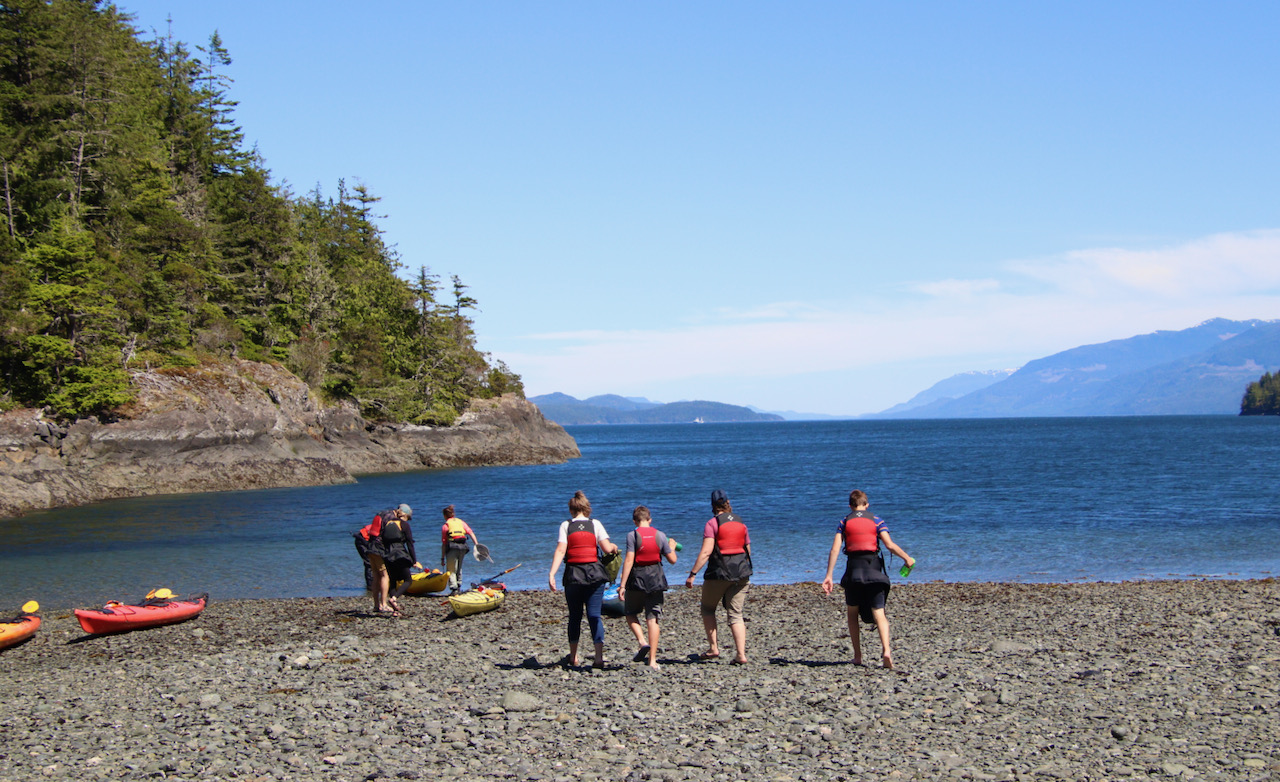 North Island Kayak, Vancouver Island Kayak Trip