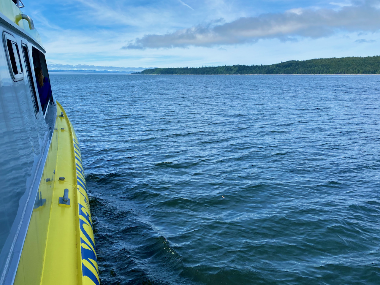 Vancouver Island whale watching