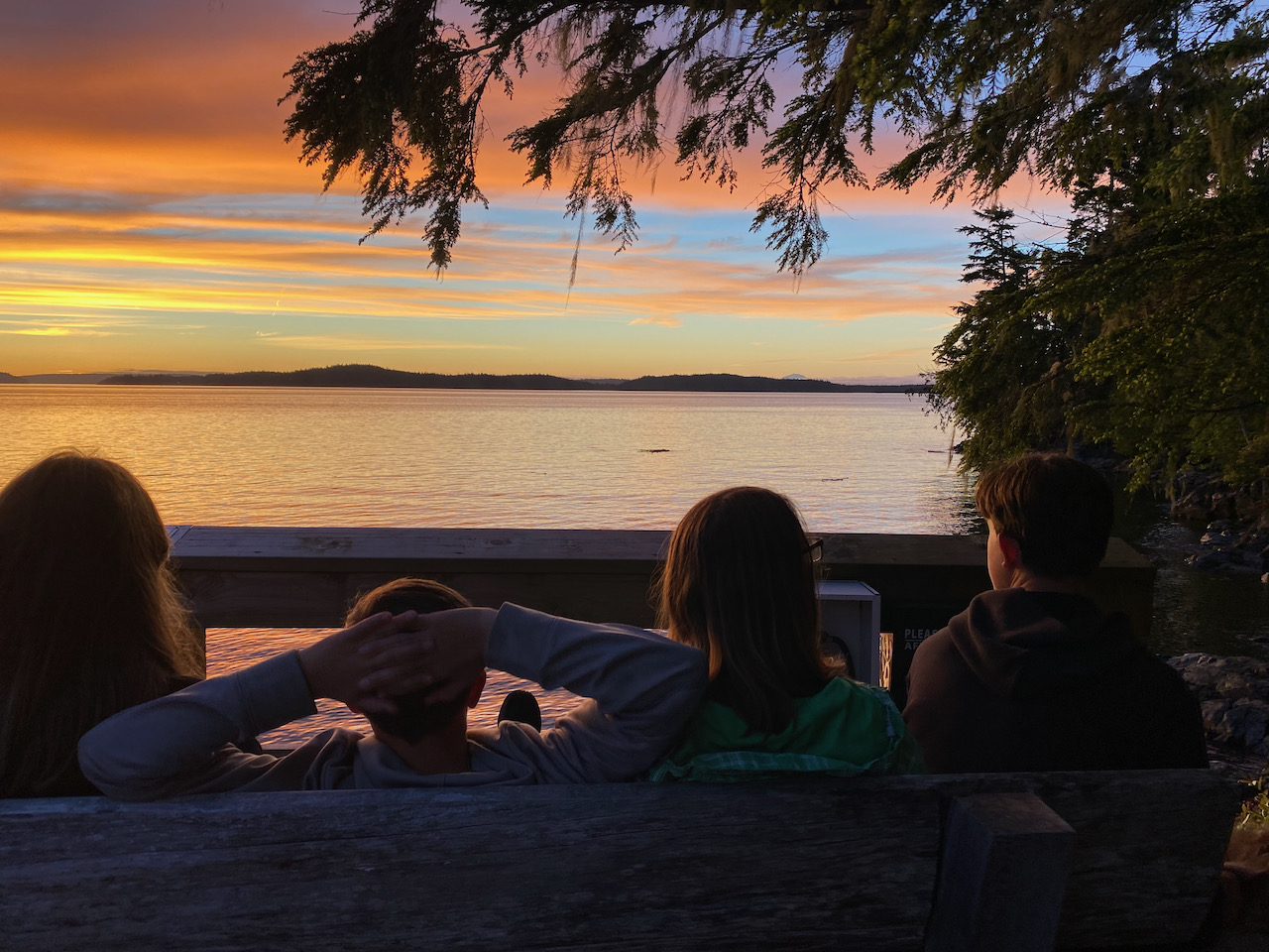 Telegraph Cove, Killer Whale Cafe, Old Saltery Pub, North Island